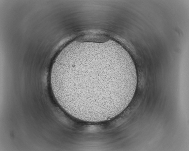 X0000113180111200910021551
