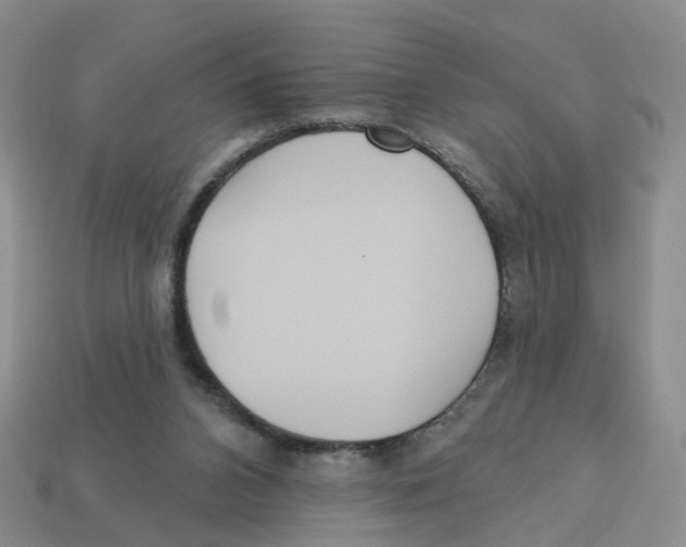 X0000113180112200910021551