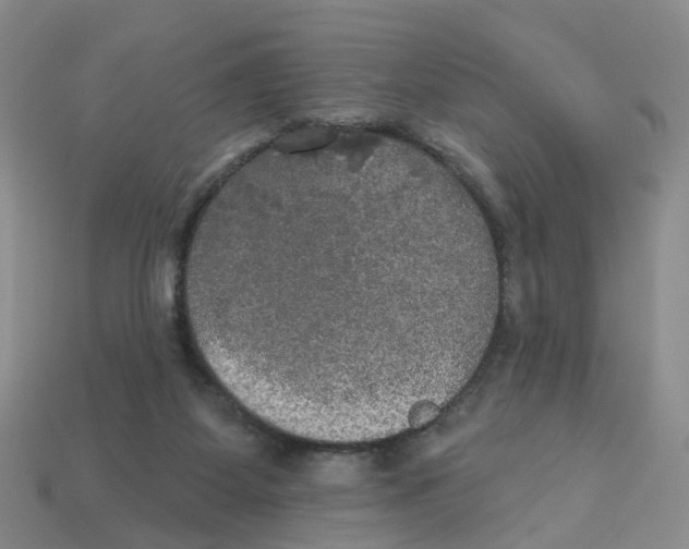 X0000113180115200910021551