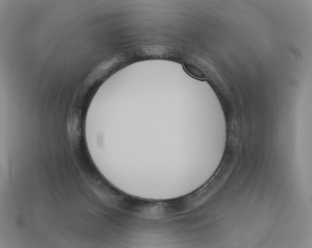 X0000113180116200910021551