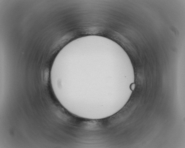 X0000113180118200910021551