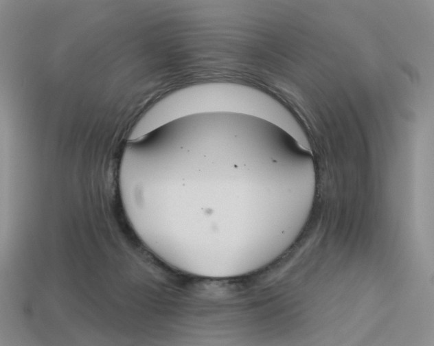X0000113180121200910021551