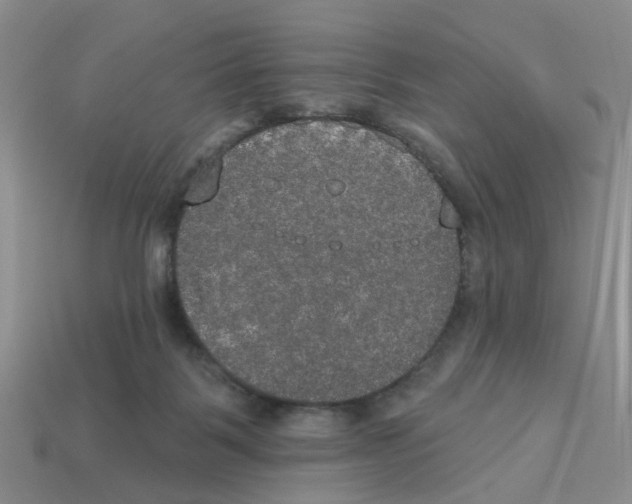 X0000113180123200910021551