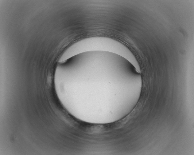 X0000113180124200910021551
