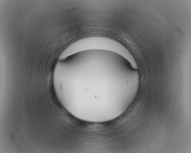 X0000113180125200910021551