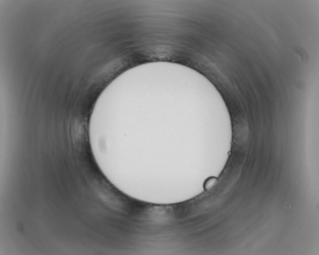 X0000113180126200910021551