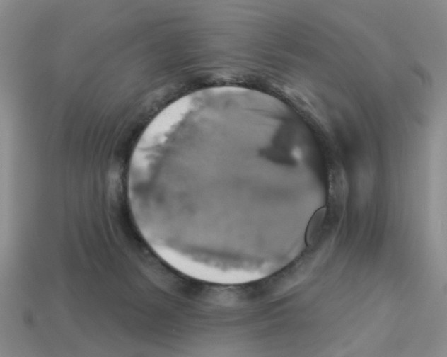 X0000113180127200910021551