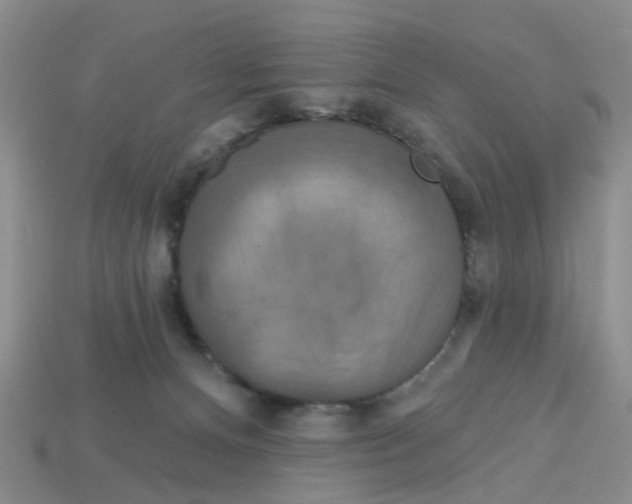X0000113180128200910021551