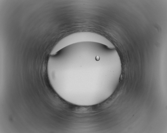 X0000113180129200910021551