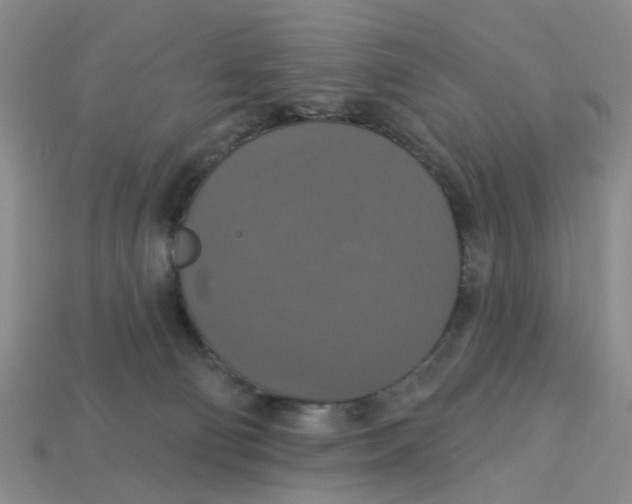 X0000113180130200910021551