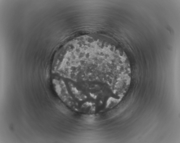 X0000113180131200910021551