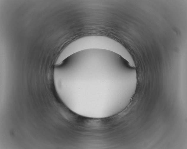X0000113180132200910021551