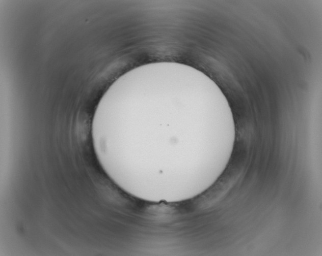 X0000113180133200910021551