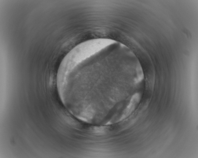 X0000113180134200910021551