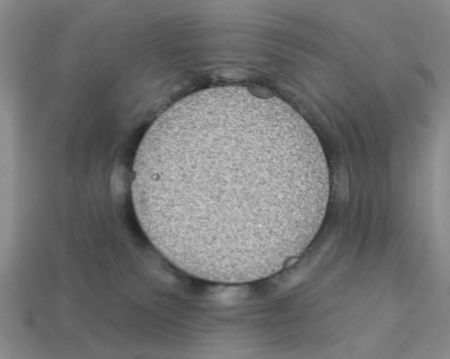 X0000113180135200910021551
