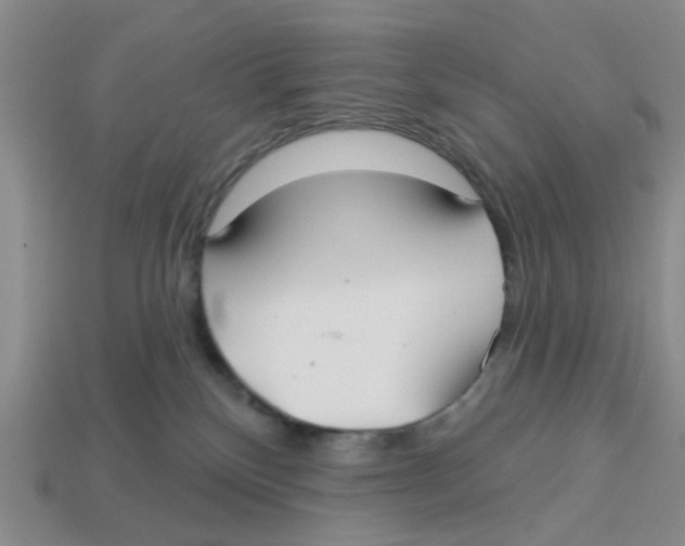 X0000113180136200910021551