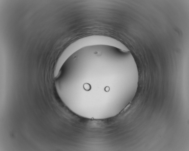 X0000113180137200910021551