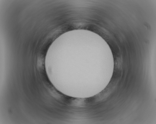 X0000113180138200910021551