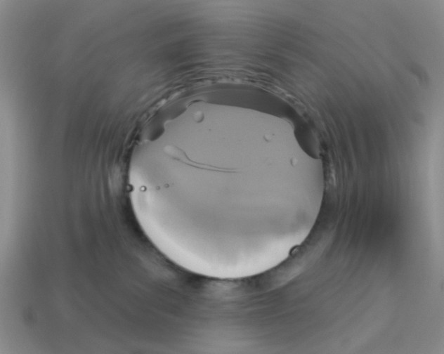 X0000113180139200910021551