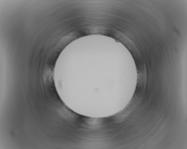 X0000113180142200910021551