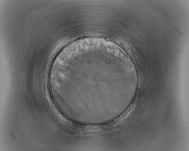 X0000113180145200910021550