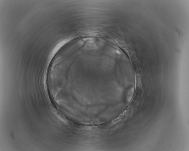 X0000113180147200910021550