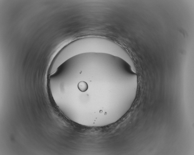 X0000113180148200910021550