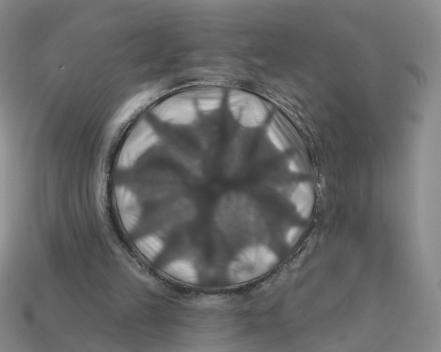 X0000113180149200910021550
