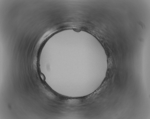 X0000113180150200910021550