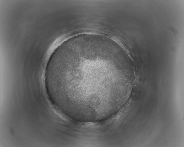 X0000113180151200910021550
