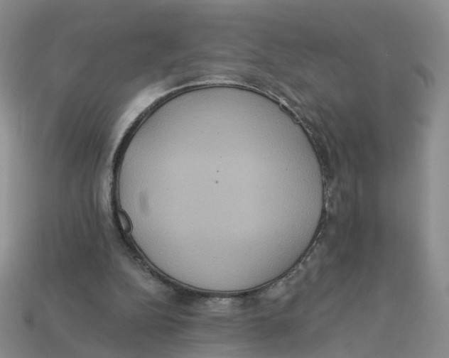 X0000113180152200910021550