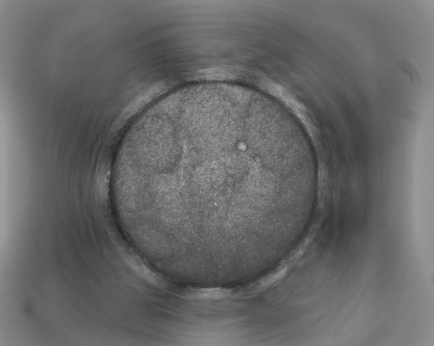 X0000113180153200910021550