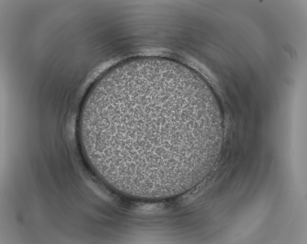 X0000113180155200910021550