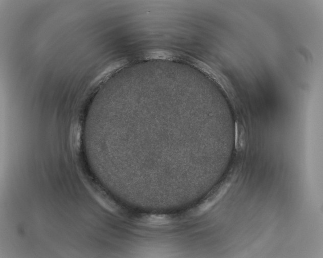 X0000113180157200910021550