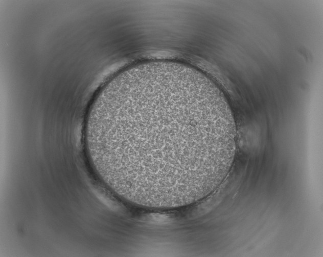X0000113180159200910021550