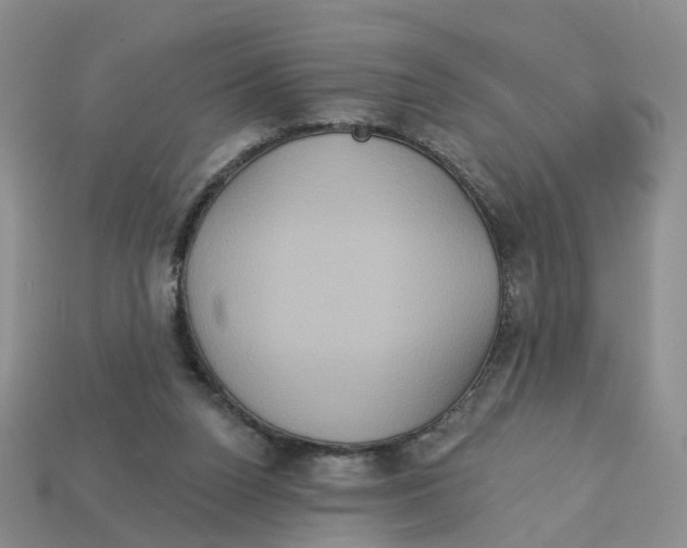 X0000113180160200910021550