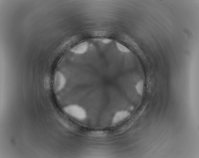 X0000113180161200910021550