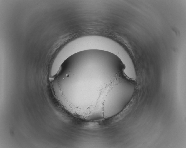 X0000113180162200910021550