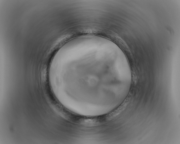 X0000113180163200910021550