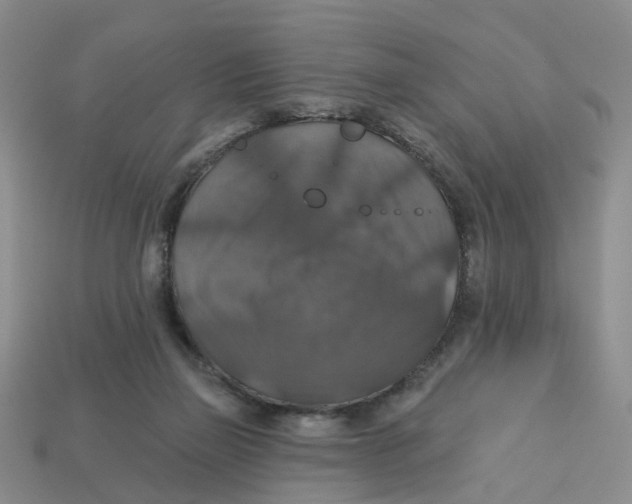 X0000113180165200910021550