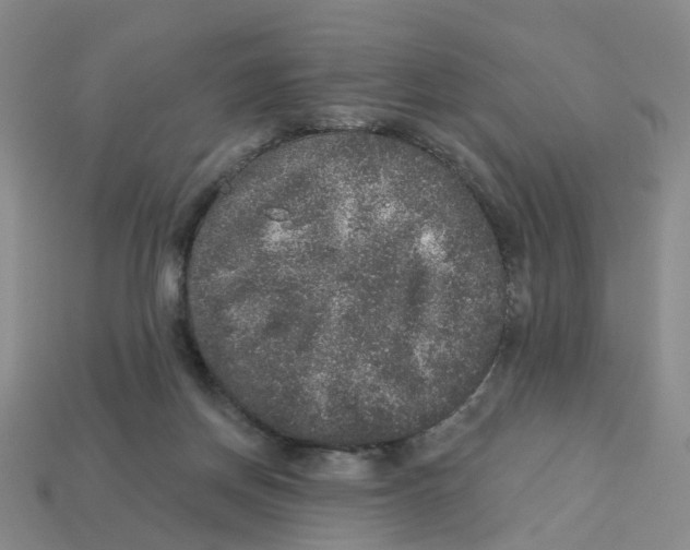 X0000113180166200910021550
