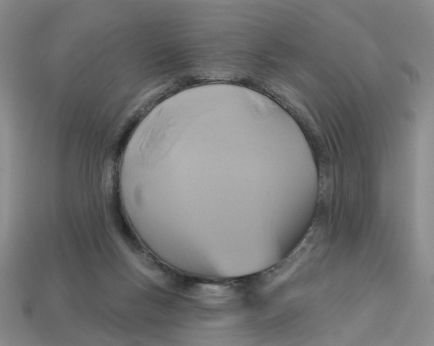 X0000113180167200910021550