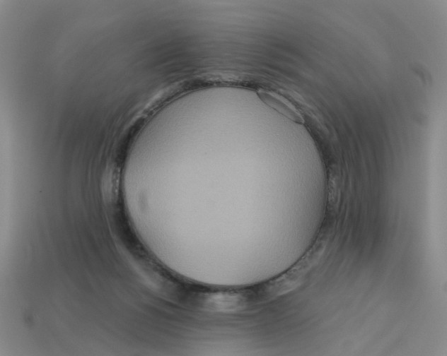 X0000113180168200910021550