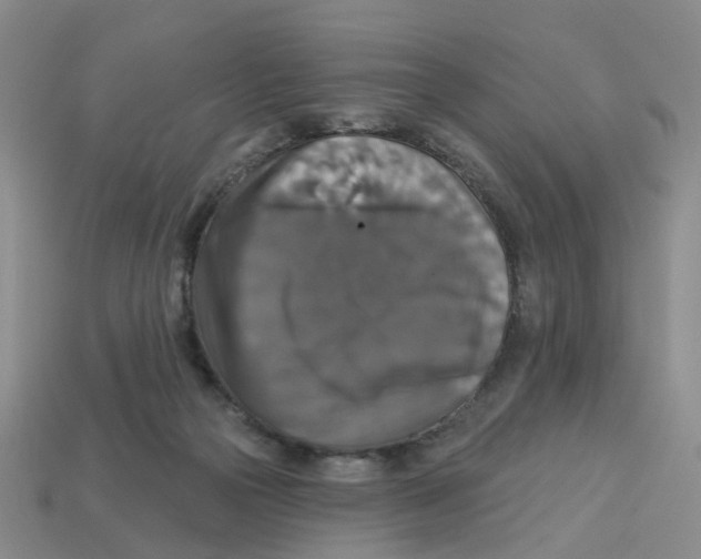 X0000113180169200910021550