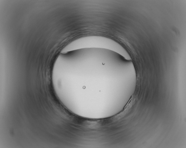 X0000113180170200910021550