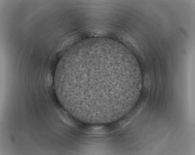 X0000113180173200910021550