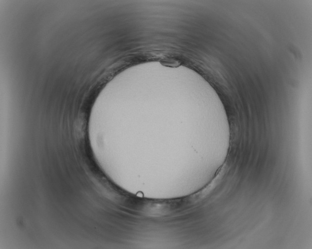 X0000113180174200910021550