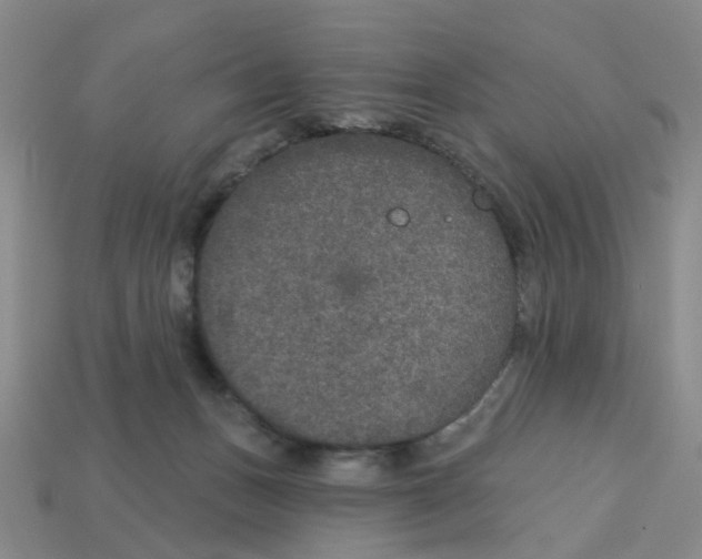 X0000113180175200910021550