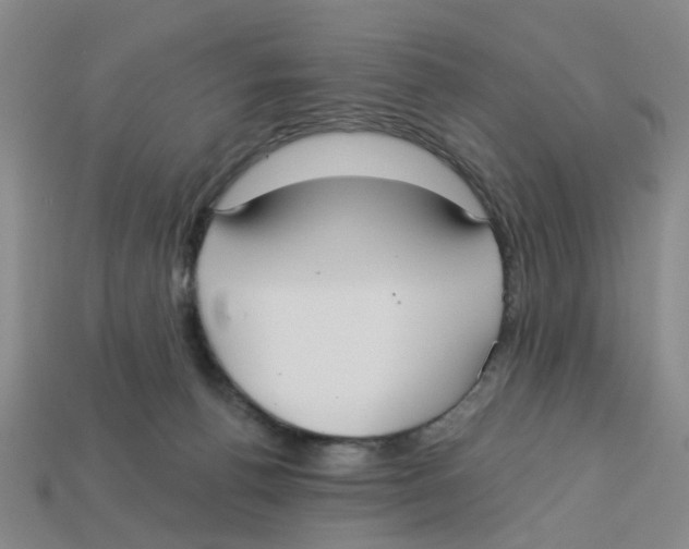 X0000113180176200910021550
