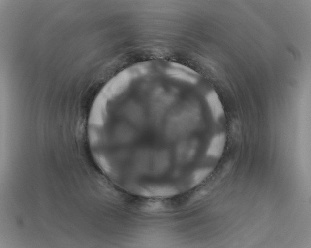 X0000113180177200910021550